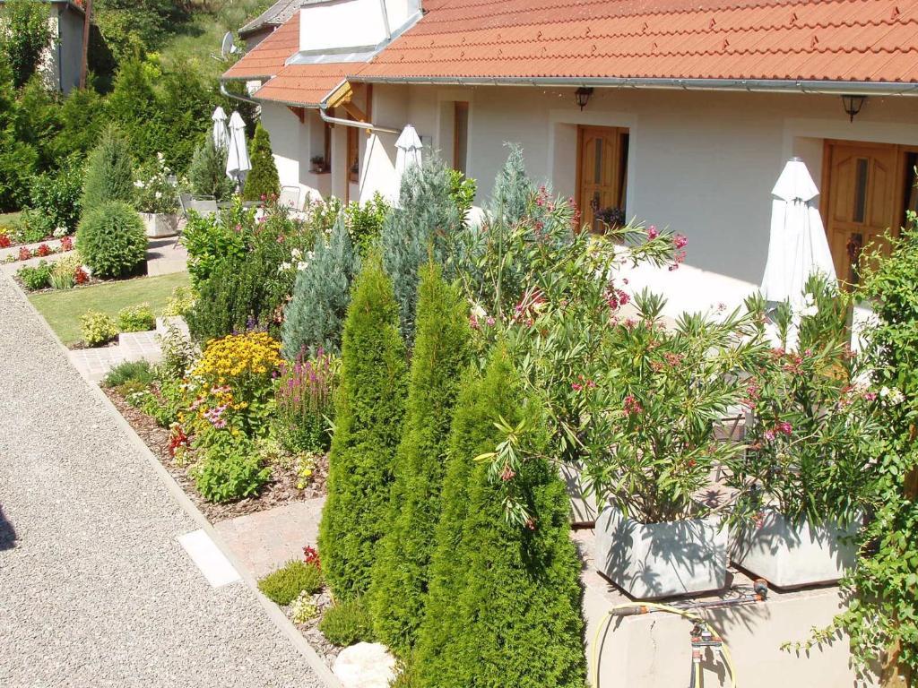 Franciska Portaja Daire Igal Dış mekan fotoğraf